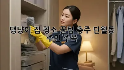 댕냥이 집 청소🧹🐾 꿀팁! 충주 단월동 주민 주목👀