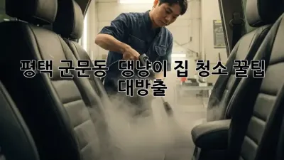 🐶 평택 군문동 🏡 댕냥이 집 청소 꿀팁 대방출! ✨