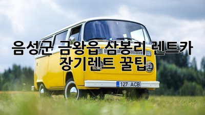음성군 금왕읍 삼봉리 렌트카 장기렌트 꿀팁!